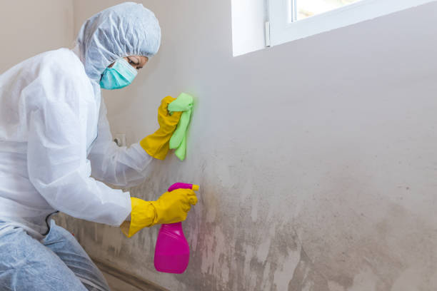 Best Forensic Mold Investigation  in USA